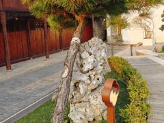 -月栖华明-云间草堂清茶馆(泗泾古镇店)