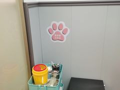 -伟伟宠物医院·瑞派猫友好医院·猫科(光谷店)