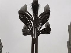 -DF冰淇淋茶饮(缤纷五洲店)