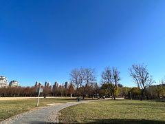 -泰丰公园