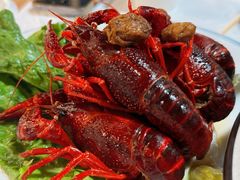 冰镇酒糟小龙虾-盱眙虾怪·旗舰店