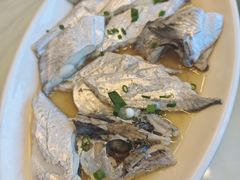 -金海湾海鲜排档(朱家尖店)