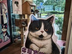 -哆趣宠物医院·眼科·内镜·急重症转诊中心(上海店)
