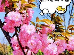 -上海山野camping·户外天幕烧烤·团建拓展营地
