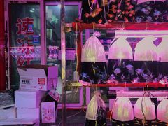 -华声天桥民俗文化园