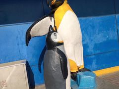 -太平洋海底世界