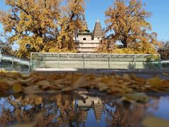 -北京石刻艺术博物馆(五塔寺)