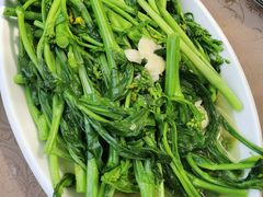 -遇龙河大樟树农家乐