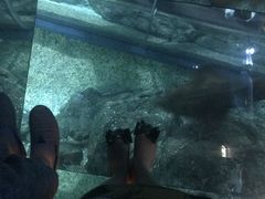 -暹罗海洋世界