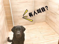 -Double Rui宠物酒店