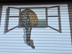 -西归浦每天偶来市场