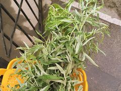 -娘心豆品(方庄店)