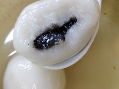 黑芝麻汤圆-祥记汤圆(东宝兴路店)