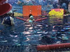 -ABC Swim亲子游泳俱乐部(河西店)