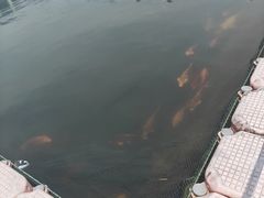 -云和湖仙宫景区