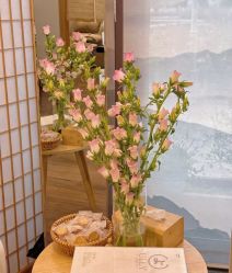 -宥莉·ULLY 痘敏肌•科技皮肤管理中心