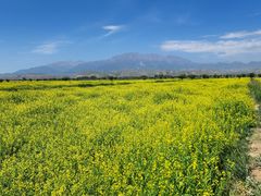 -扁都口生态休闲旅游区