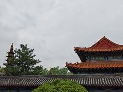 -白洋淀景区