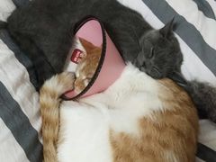 -美迦爱-牙专科·兔科·骨科诊疗中心(北苑店)