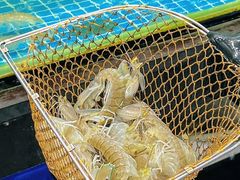 -四川小胡子海鲜(丁村万人海鲜广场店)