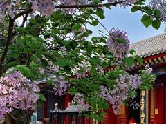 -西安市广仁寺