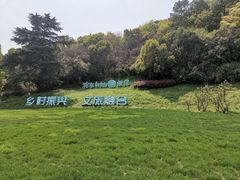 -树山生态村