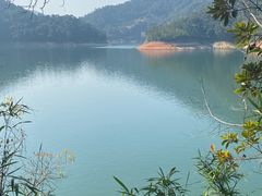 -广州市流溪河国家森林公园