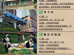 -重庆十八梯传统风貌区