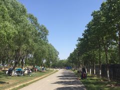 -永定河休闲森林公园