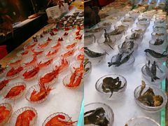 -半岛翡丽海鲜自助餐厅(观风亭店)