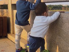 -昆山城市生态森林公园