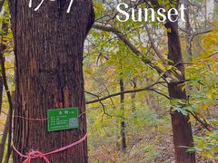 -北京上方山国家森林公园