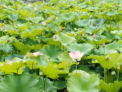 -丝绸小镇荻港古村