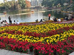 -荔湾湖公园