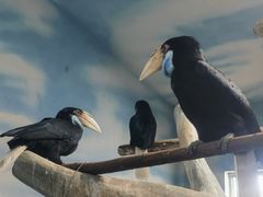 -石家庄市动物园