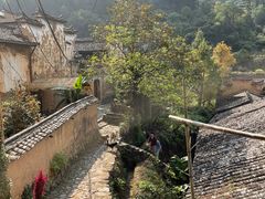 -杨家堂村