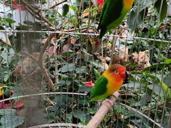 -西霞口神雕山野生动物世界