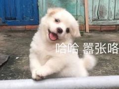 -德克士(龙阳广场店)