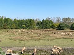 -溱湖国家湿地公园