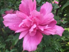 -艾溪湖湿地公园