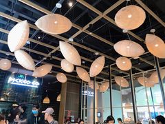 大堂-采椰郎椰子鸡·脆皮鸡火锅(融创茂店)
