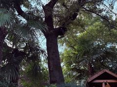 -西安国际创新人才交流中心•药浴温泉