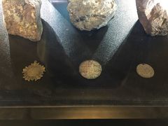 -张之洞与武汉博物馆