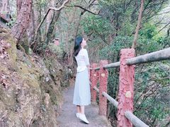 -祁门牯牛降观音堂风景区