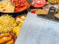 -阳阳老火锅(小南门店)