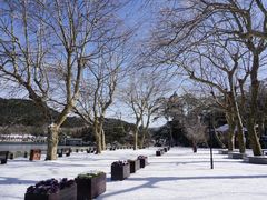 景点-庐山风景区花径公园