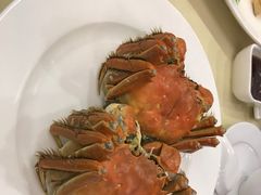 -王宝和酒家(黄浦店)