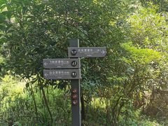 -四洞沟景区