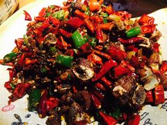 -青城甲(青城山店)