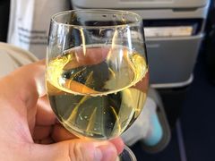 -德国汉莎航空公司